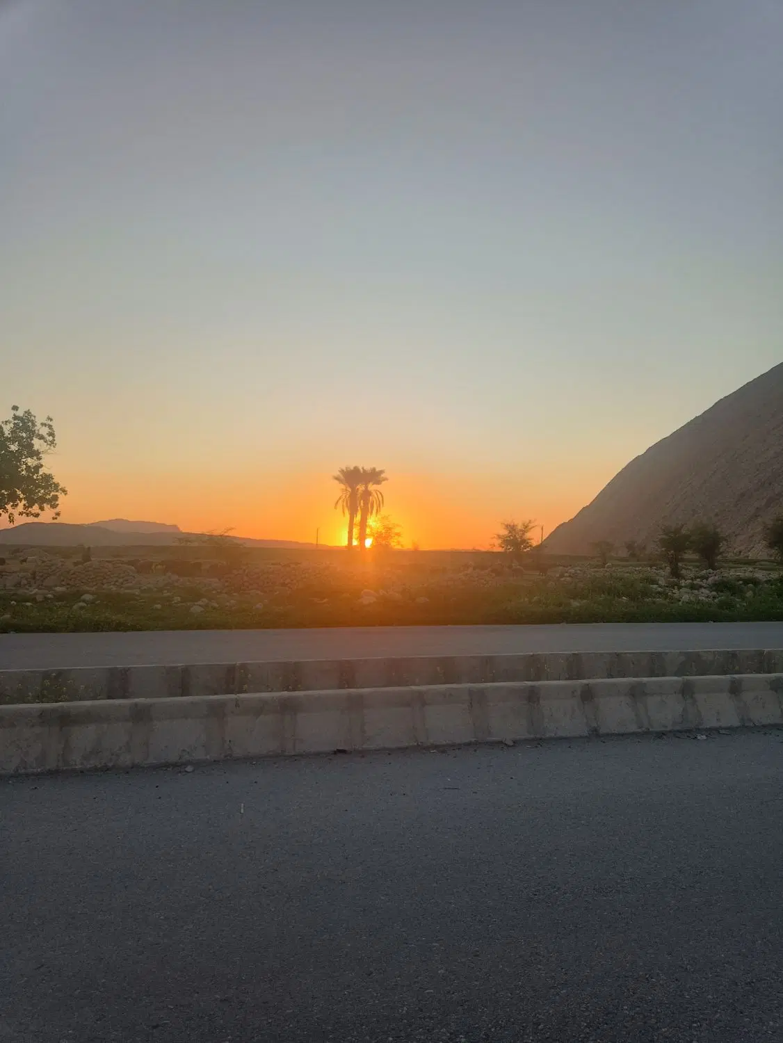 فروش زمین مسکونی واقع در مازه خریده