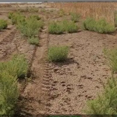 جای مغازه بر تقی جراح برای سرمایه گذاری