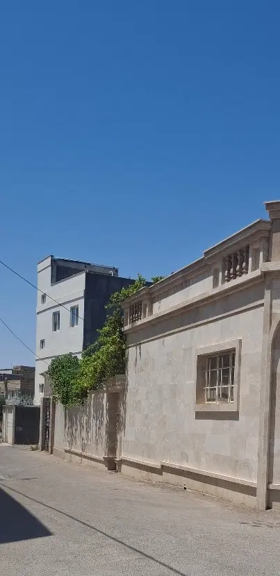 ویلای شجیعی