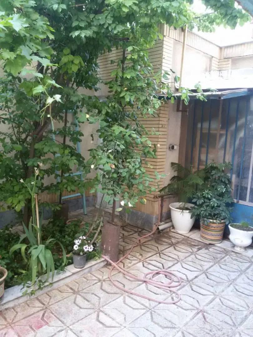 هَمکفِ حَیاط دار ( مُستَقل ، راه جُدا )