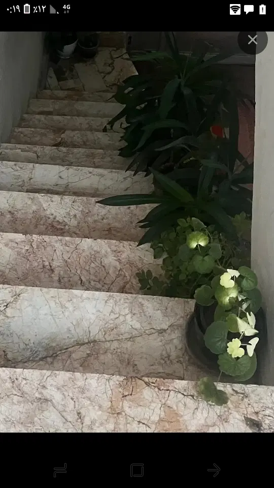 همخونه