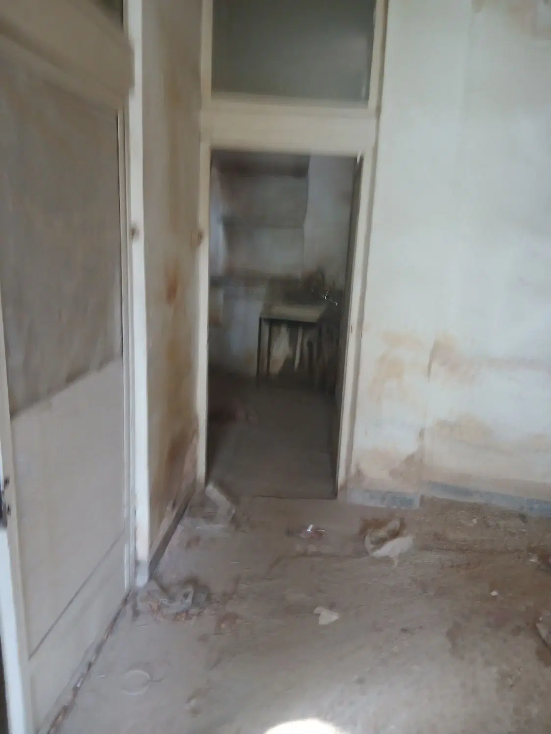 ملک کلنگی آینده دار