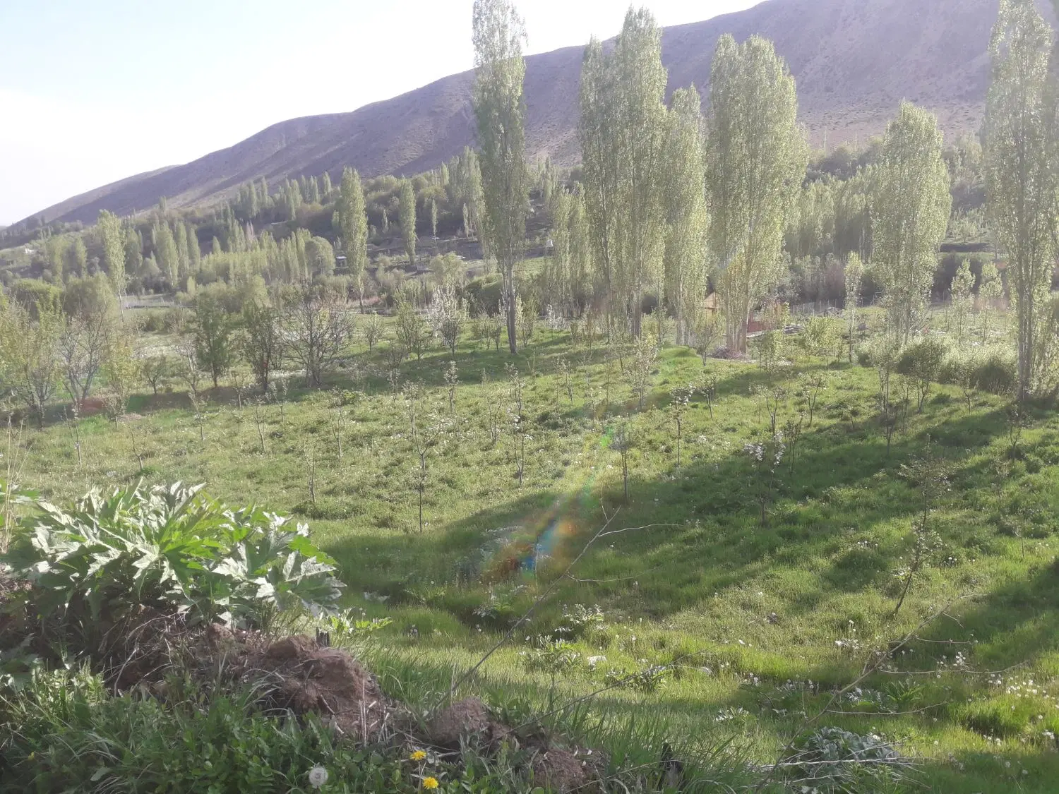 فروش زمین در منطقه تنگه واشی