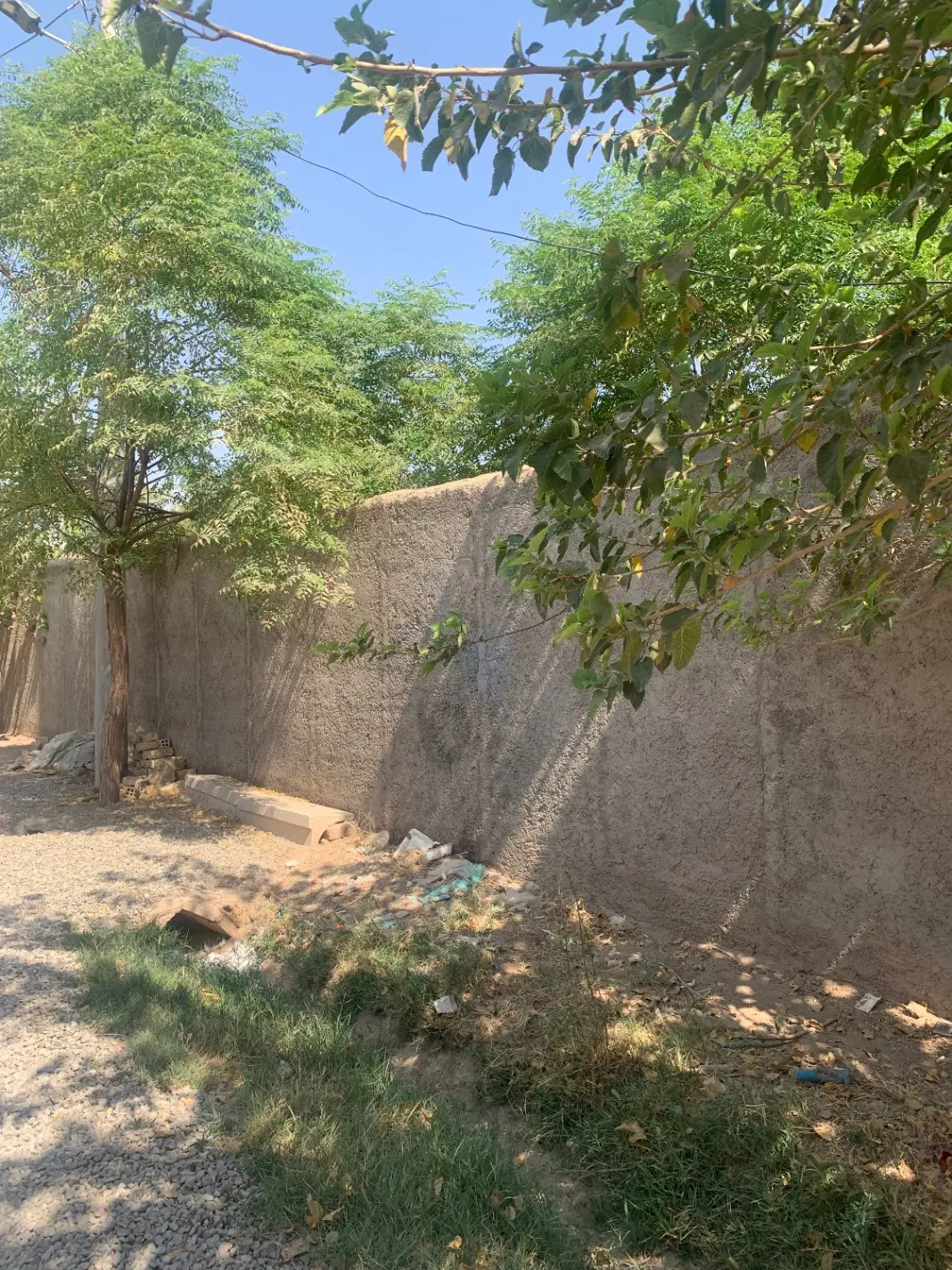 خونه باغ یحی آباد
