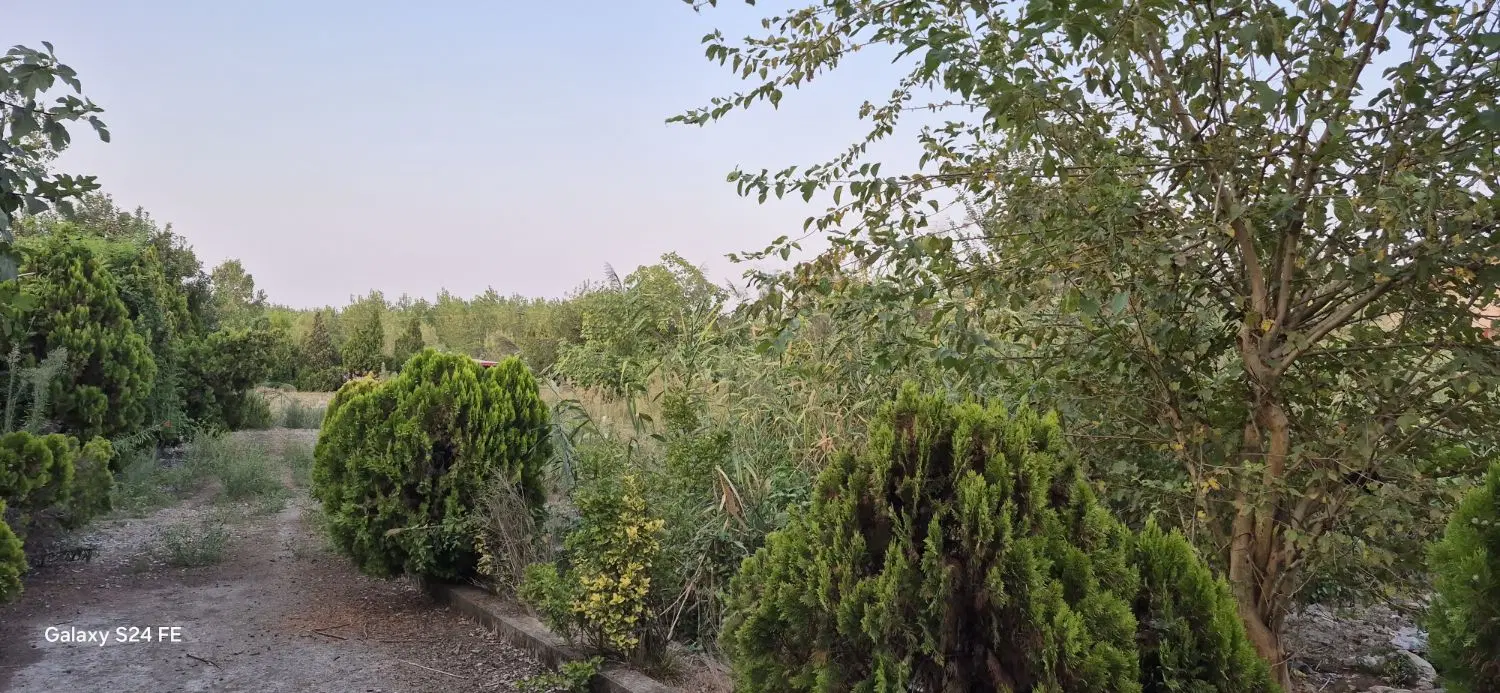 فروش زمین مسکونی جاده انزلی روستای گرفم