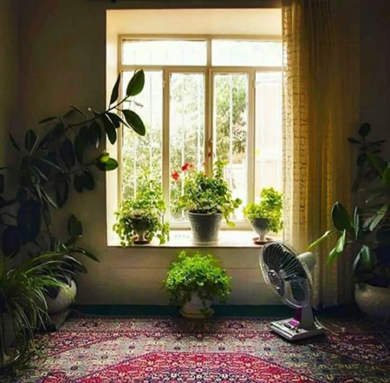 معاوضه خانه ویلایی با اپارتمان یا ویلایی تمیز