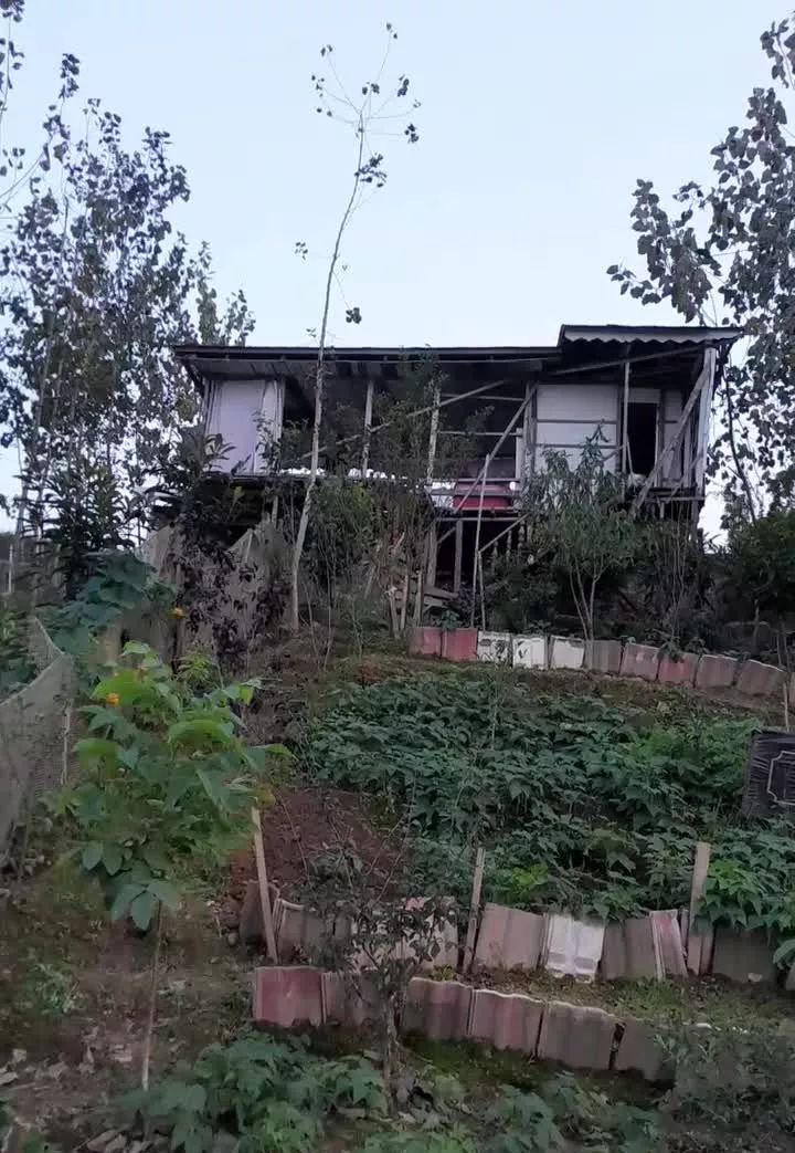 زمین با کلبه چوبی