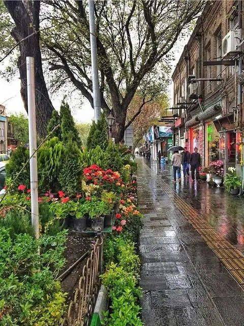 فروش یک مغازه در خیابان امام ۵۵ متر