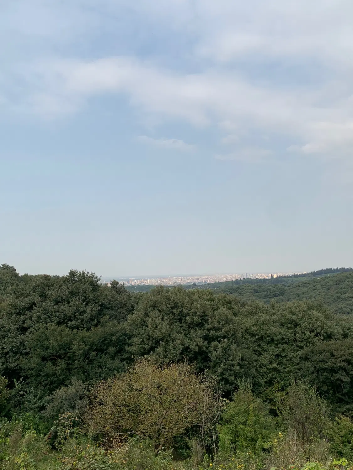 زمین کشاورزی