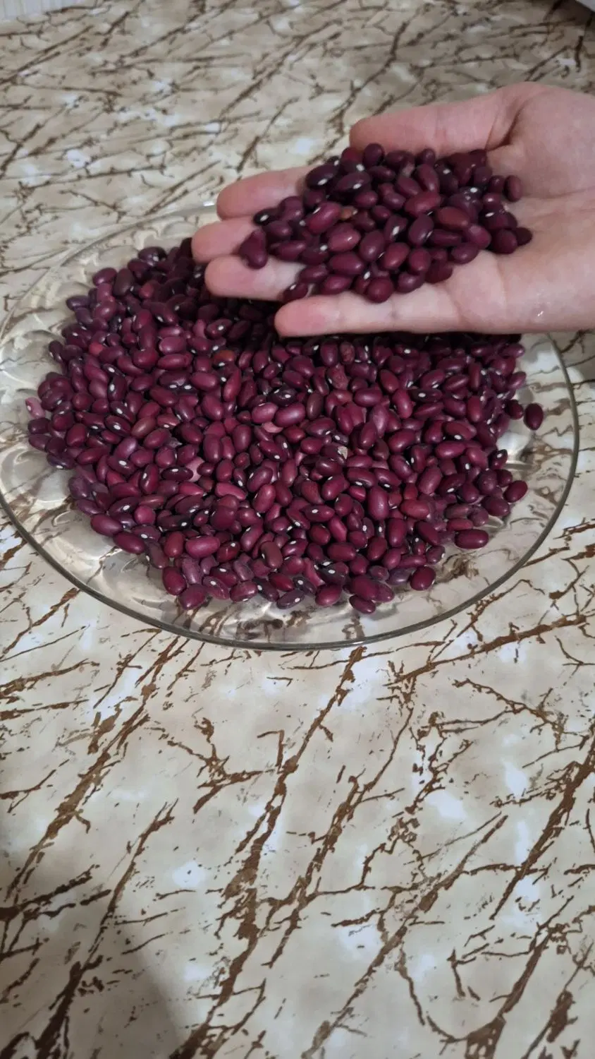 اجاره مغازه واقع در روستای زواجر
