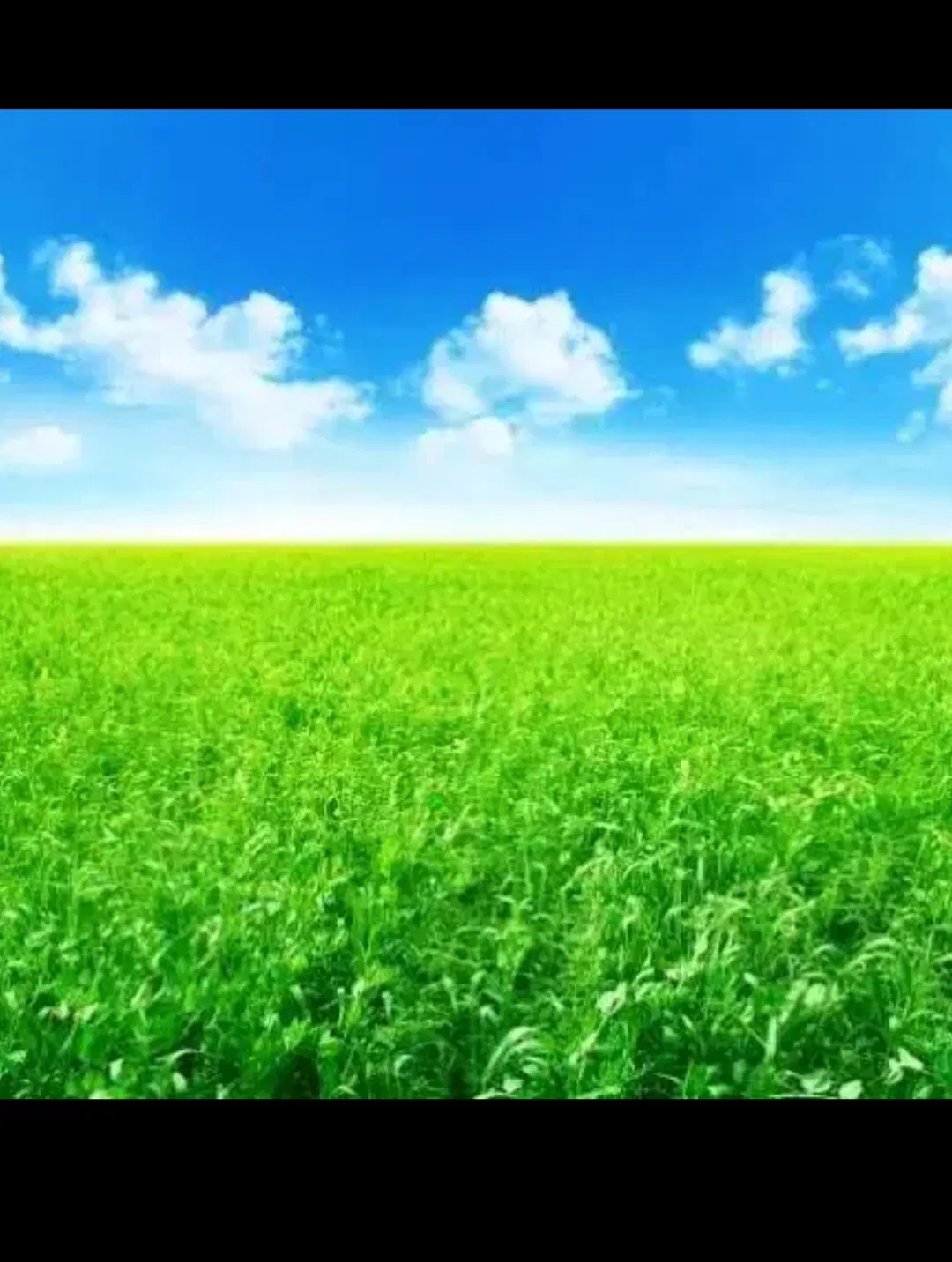 فروش زمین مزروعی