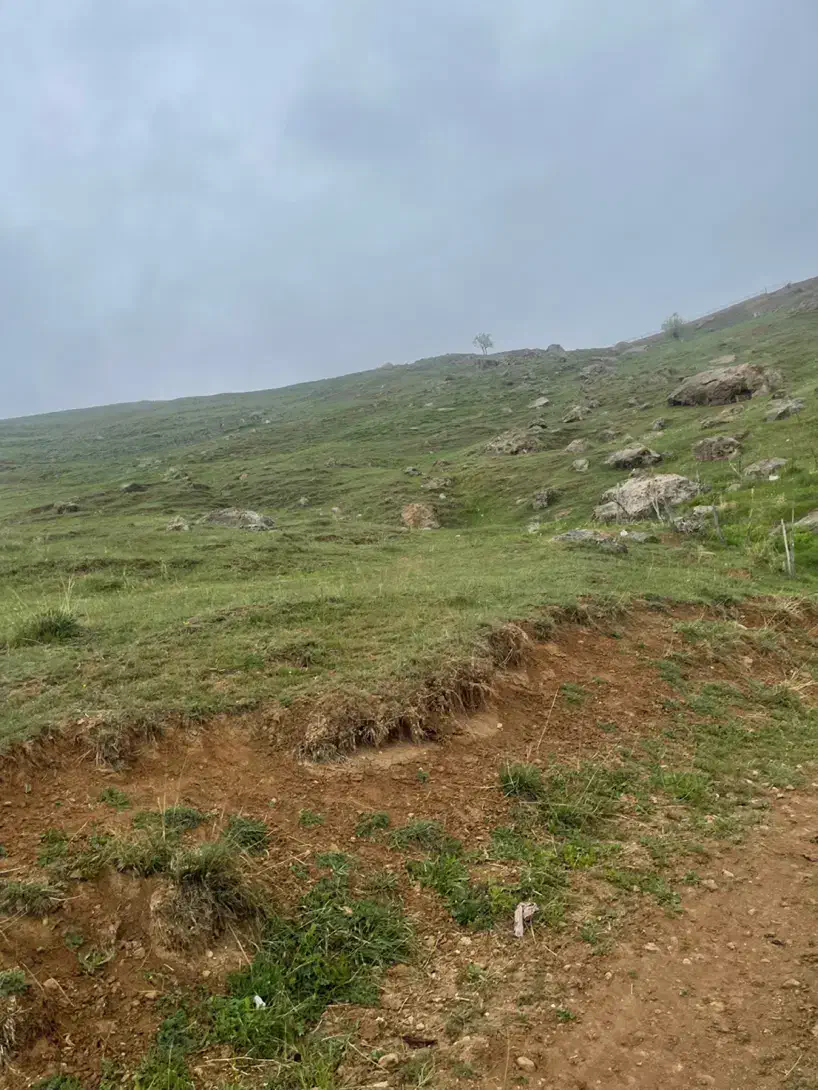 زمین مسکونی