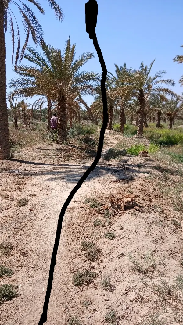 مندوان روستای بیت عاشور