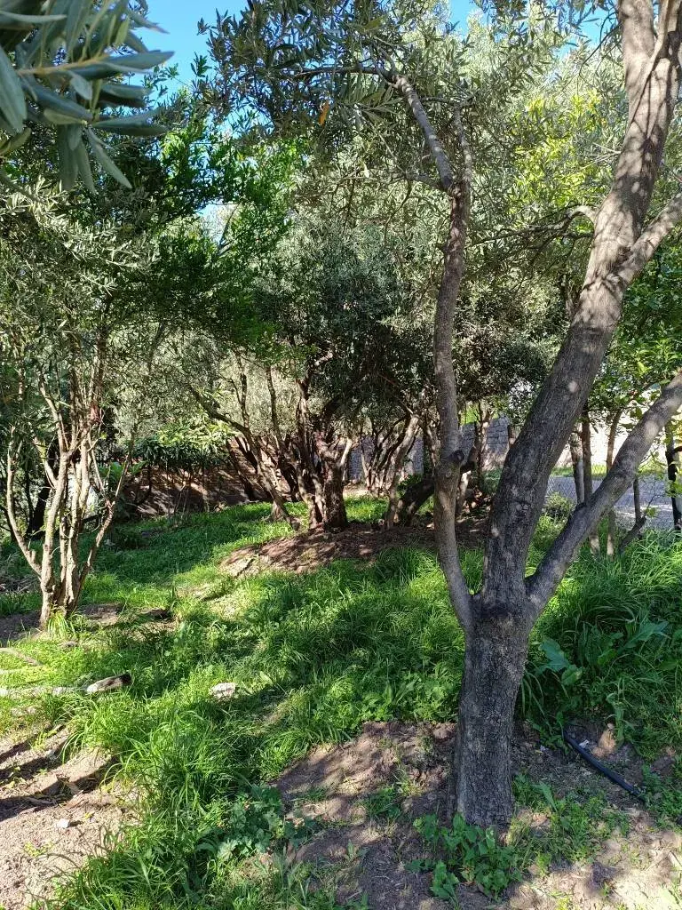 فروش زمین