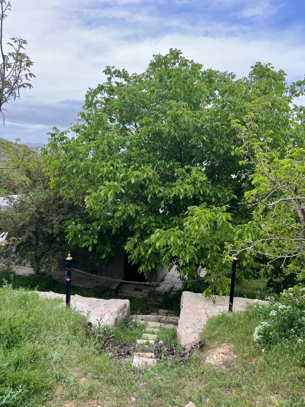باغ ویلا روبه تله سی یژ زرشک ( باغستان گردو)