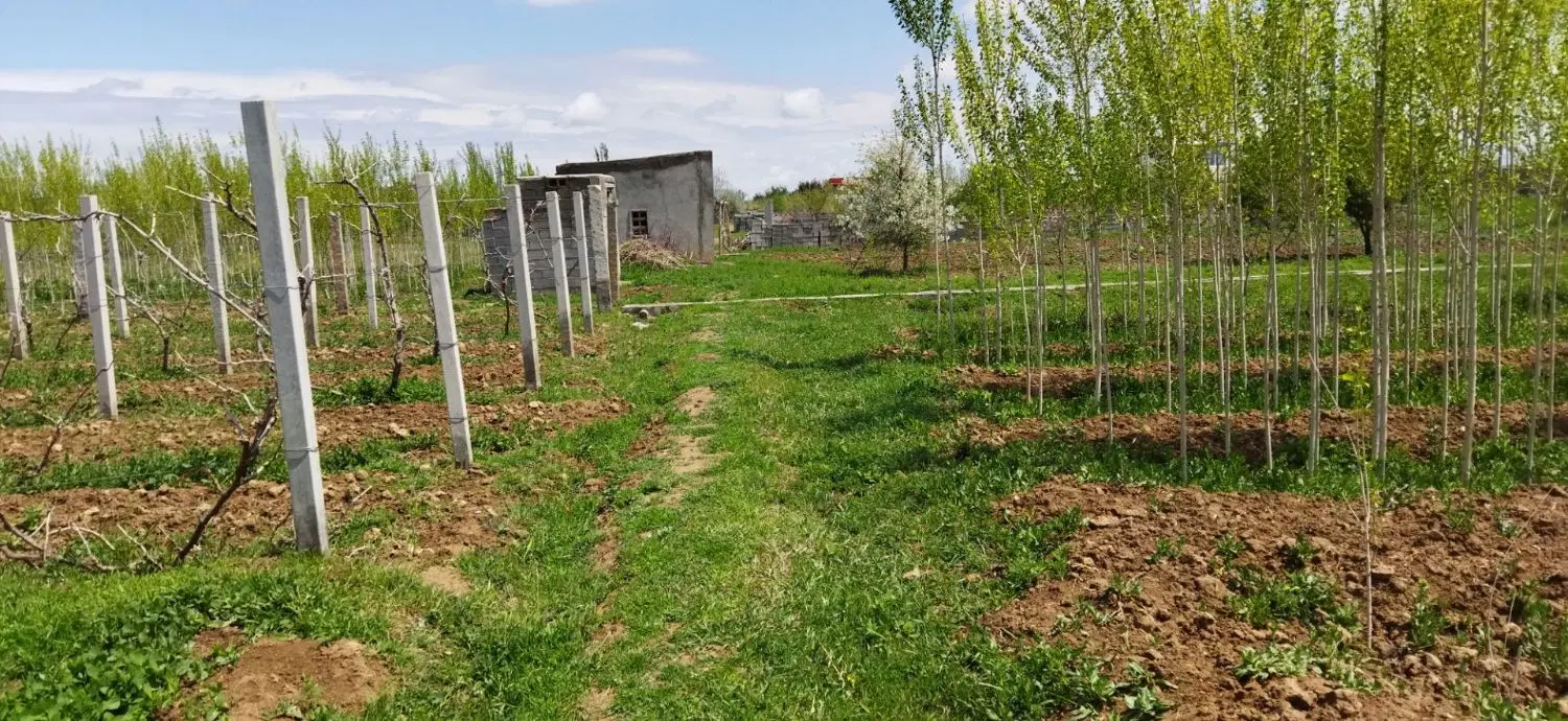 زمین زراعی