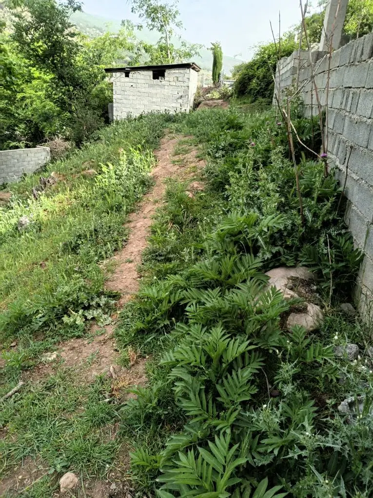 زمین فروشی