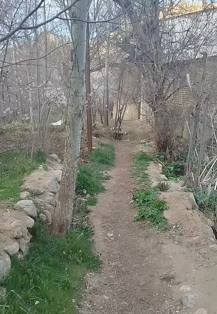 باغ ده بالا