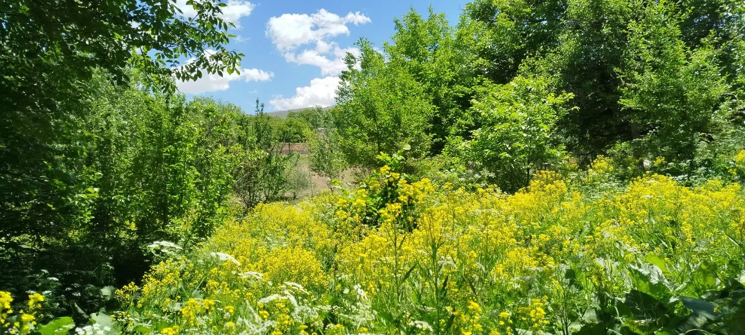 ملک مسکونی در روستای شالقون