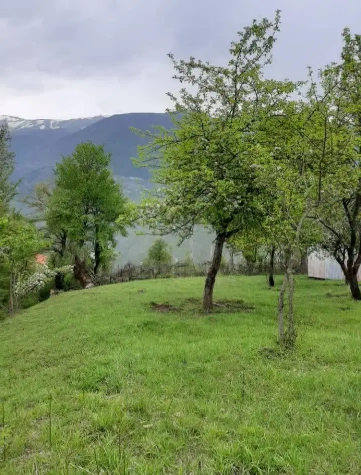 فروش زمین سنددار ۴۷۲ متری بخش دالخانی روستای ایزکی