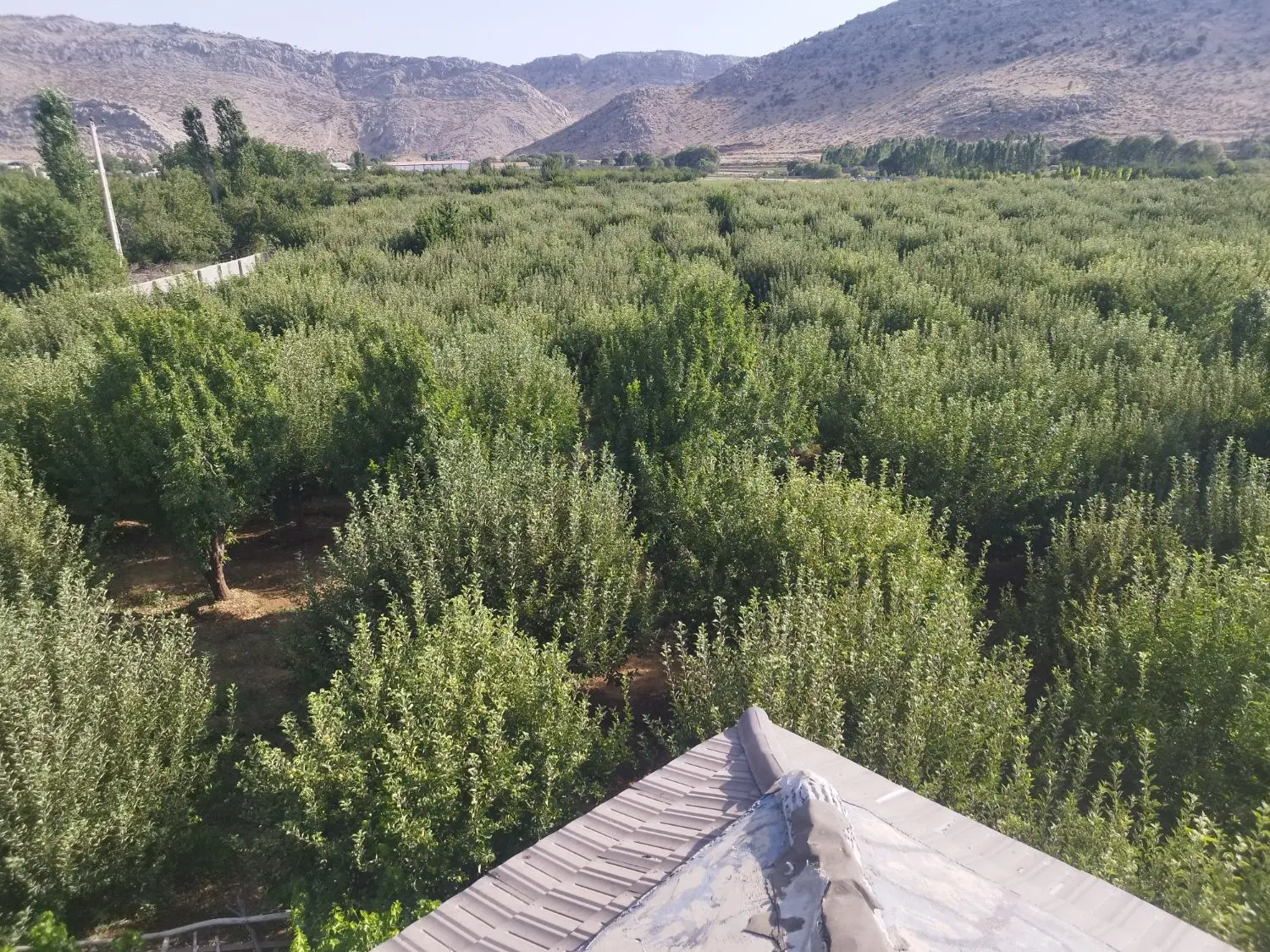 13000 متر باغ