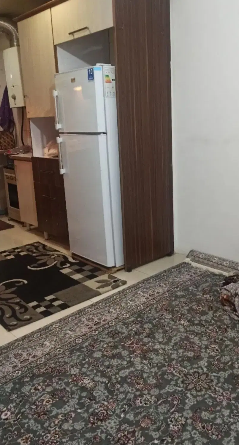 هم خانه خانم