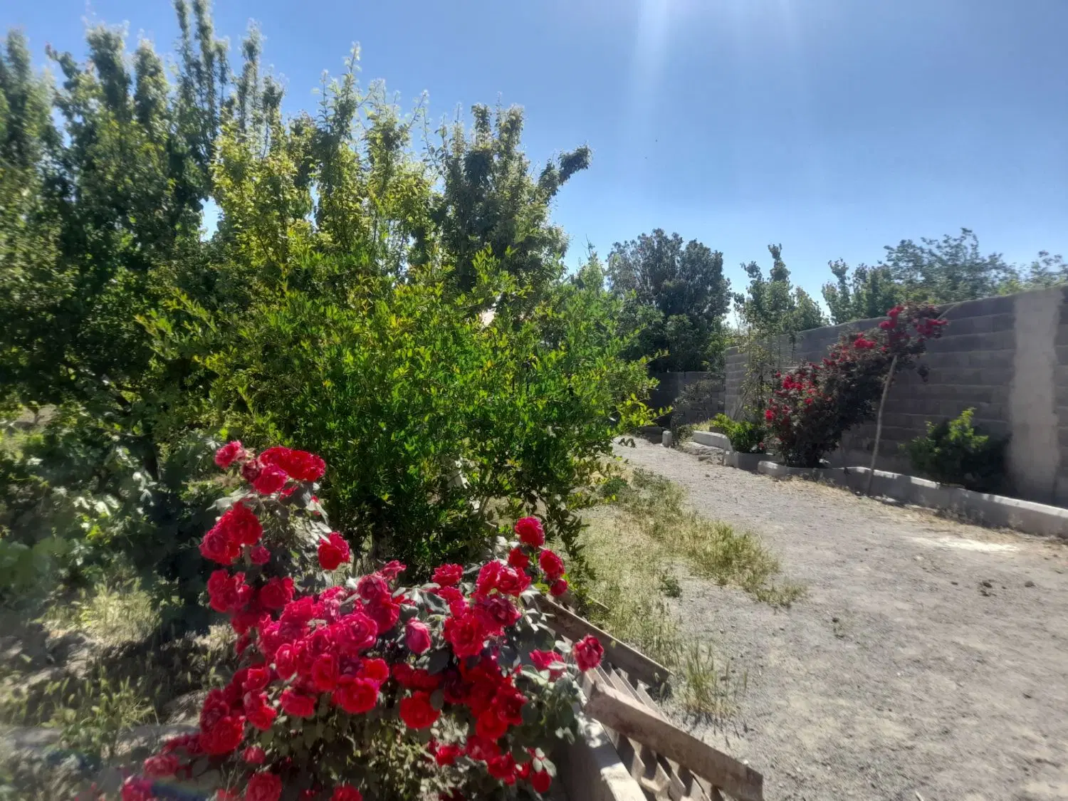 باغچه ۵۰۰متری انجم آبادشهریار