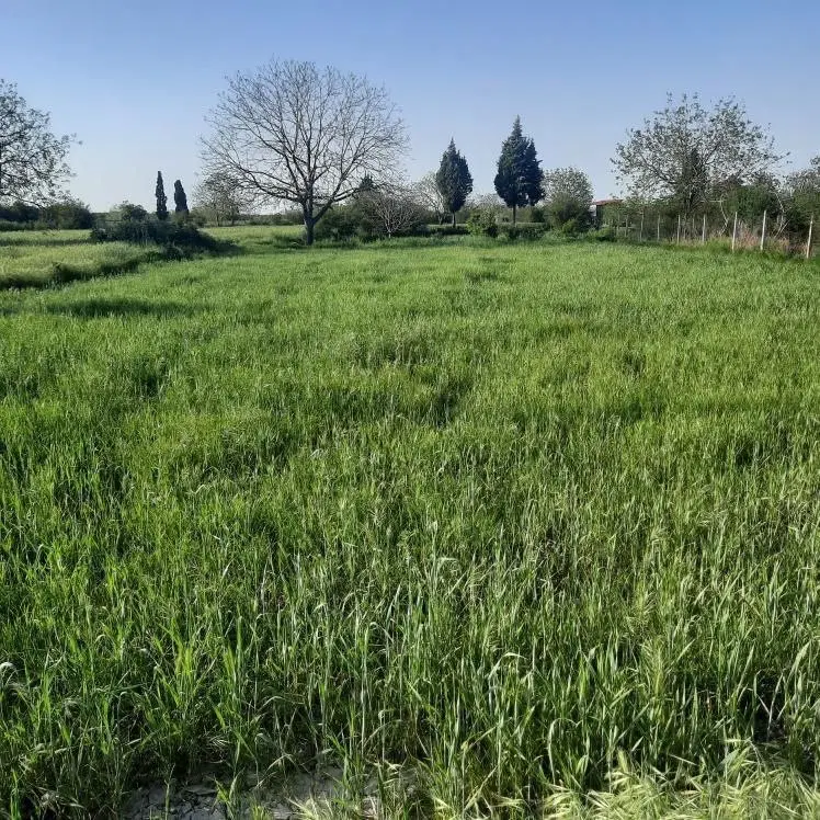 زمین بر اتوبان