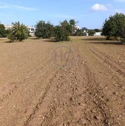 فروش زمین در علی اباد انقلاب