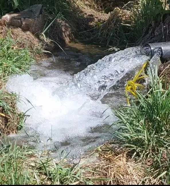 زمین کشاورزی آبی