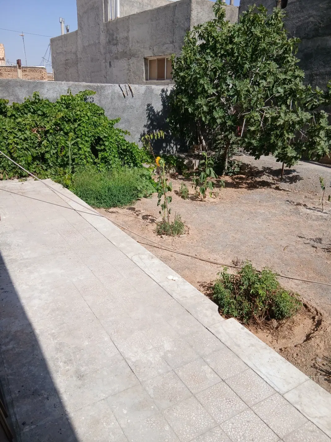 منزل اجاره‌ای