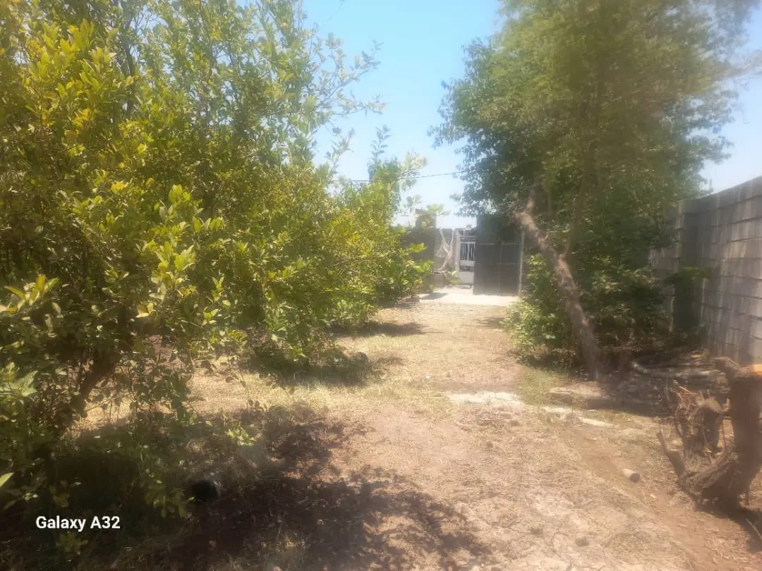 باغچه