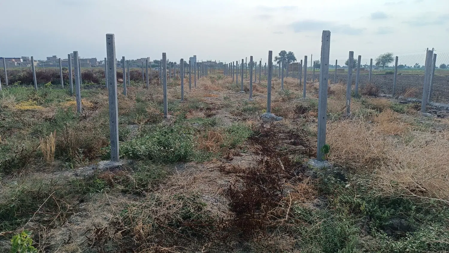 زمین  باغ روستای اتراچال