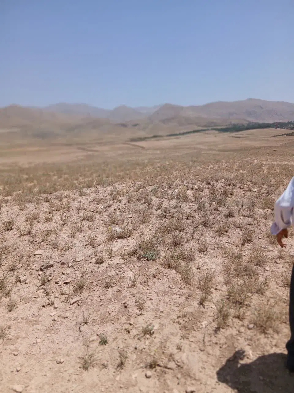 زمین کشاورزی روستای فشند