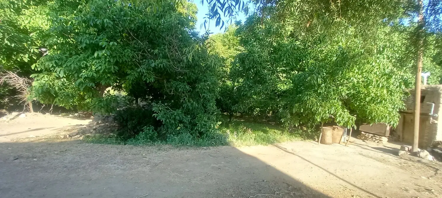 باغچه و زمین مسکونی