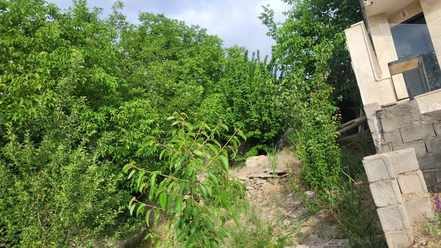 ساردوییه  درب  بهشت   جیرفت