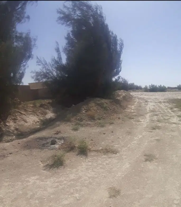 زمین کلنگی