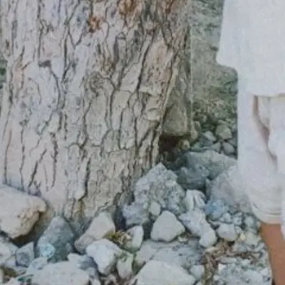 زمین وهارآو