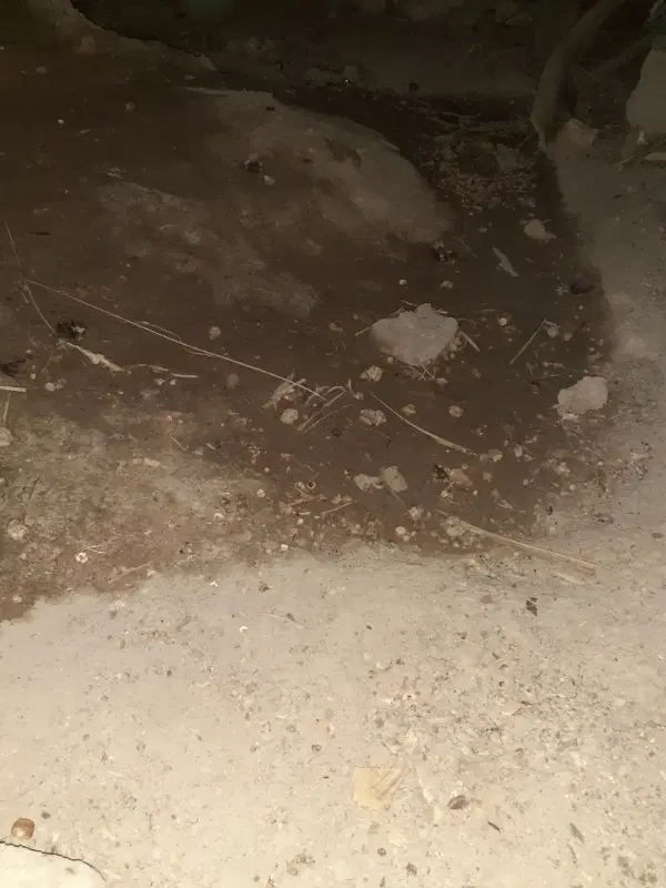یک قطعه زمین