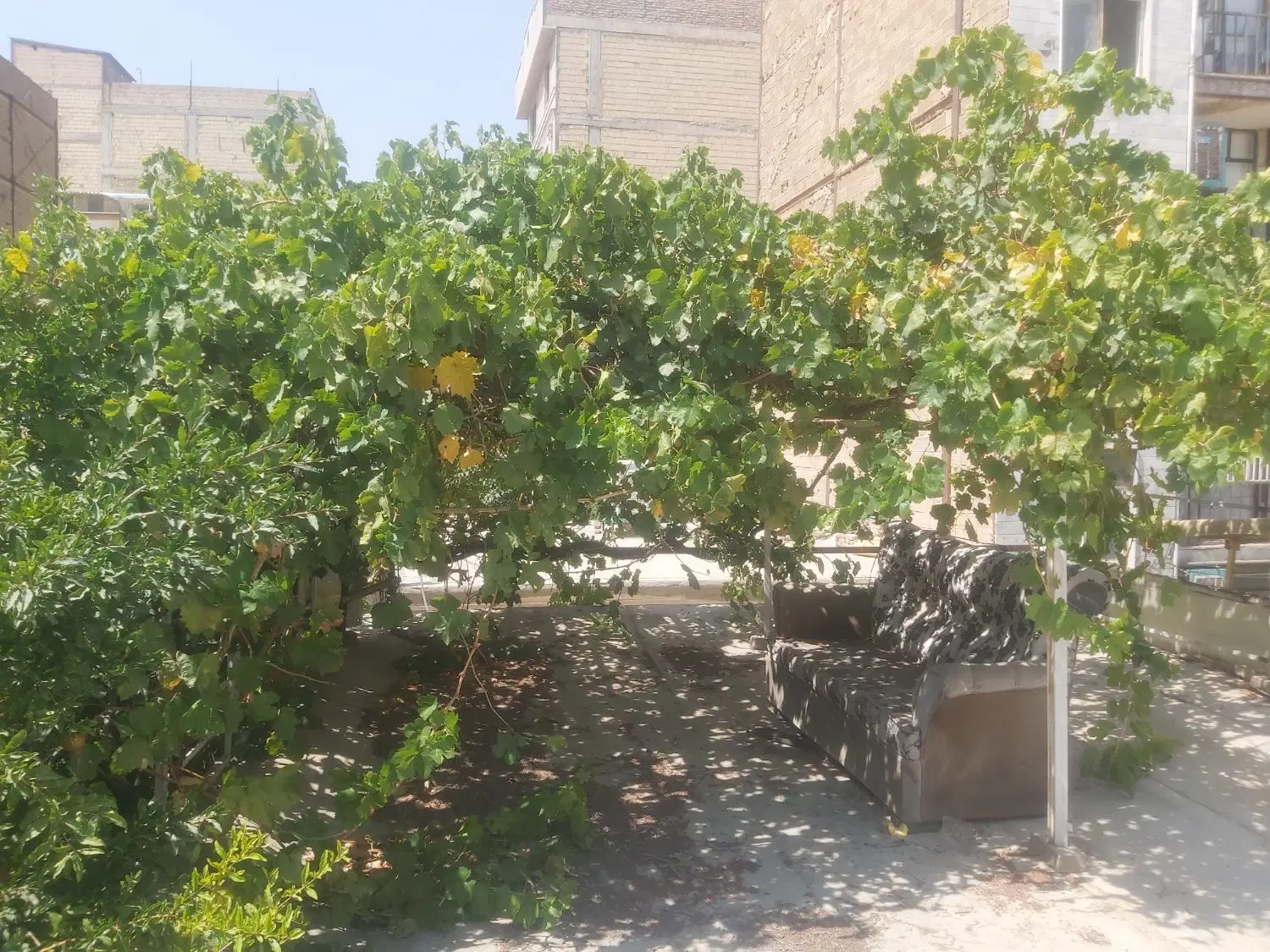 خانه ویلایی