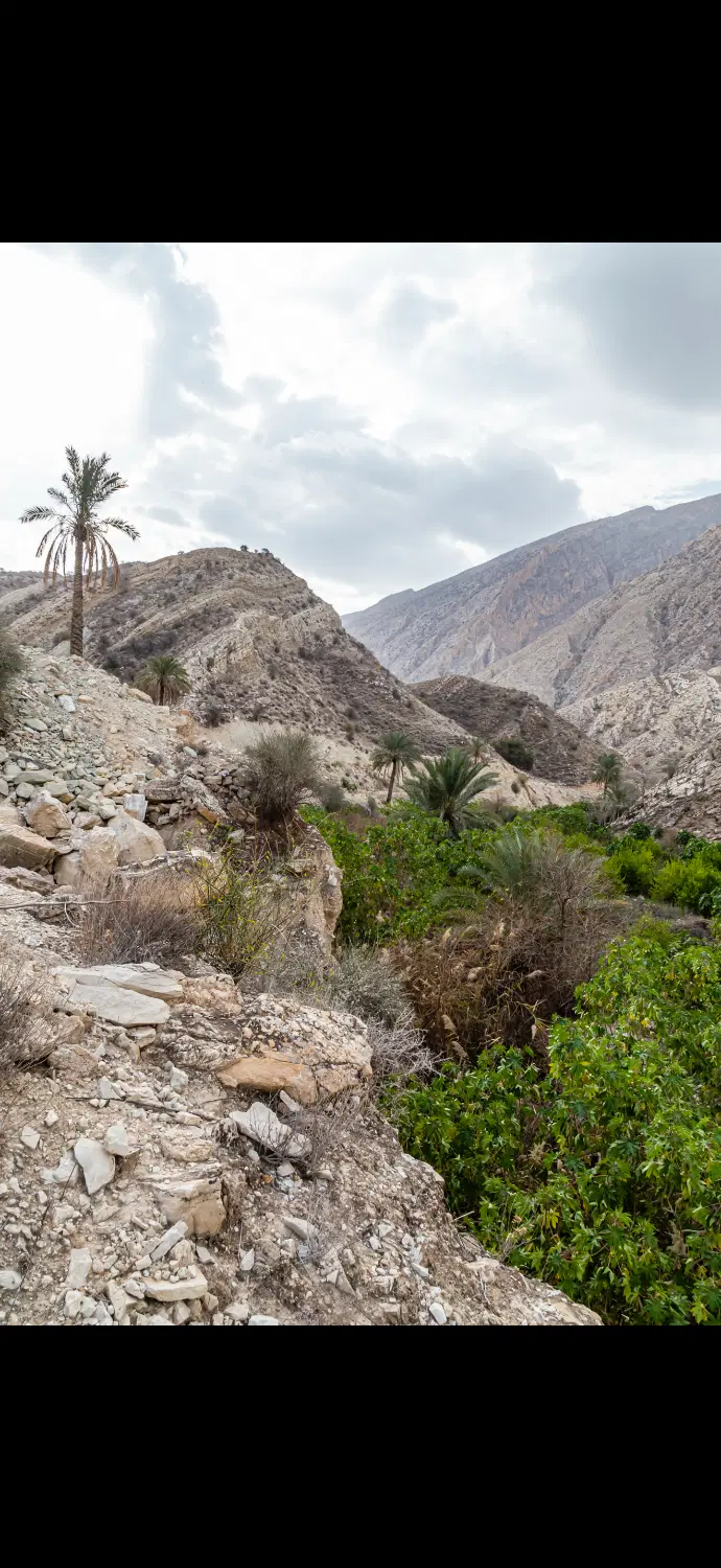 زمین کشاورزی ، تنب گرو