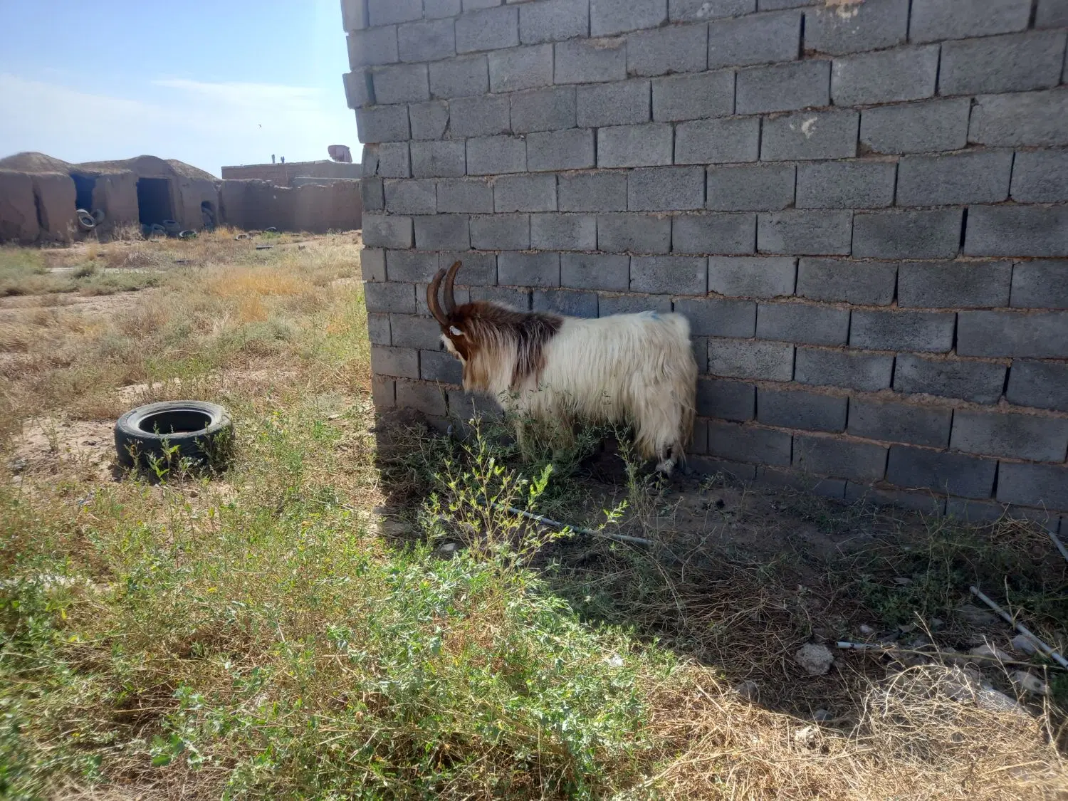 زمین فروشی