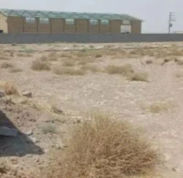 ۲۵ هزارمتر زمین تجاری
