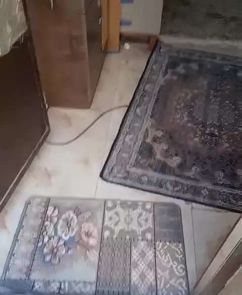 فروشی سکینه بانو