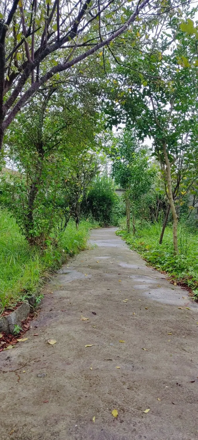 باغ ویلا درشمال