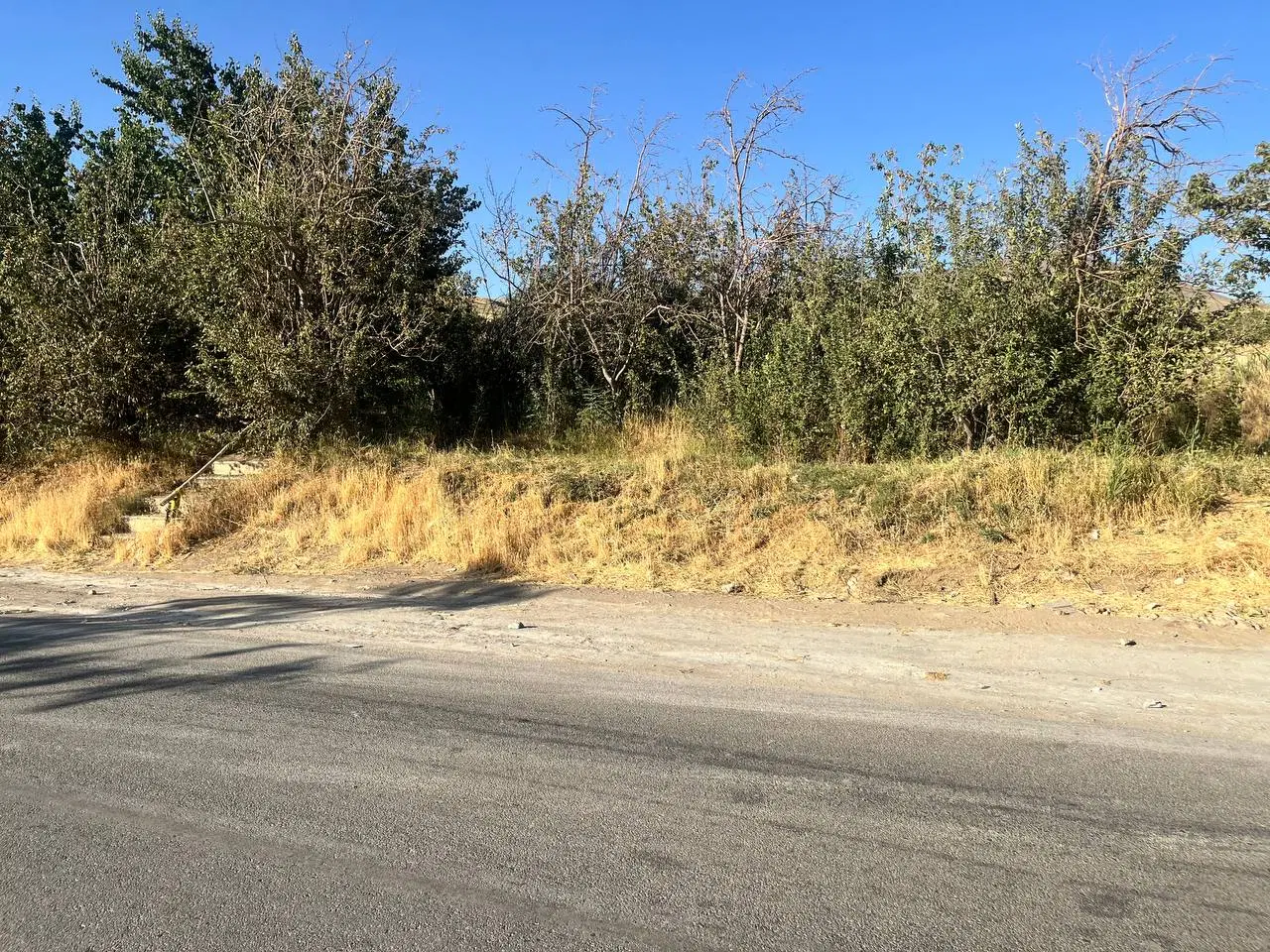 یک قطعه زمین در روستای ارزانفودبه فروش میرسد