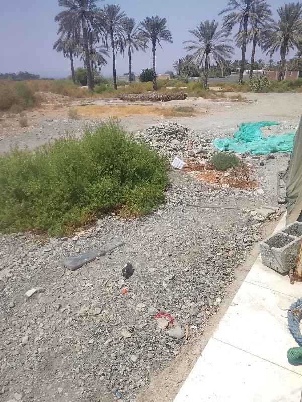 زمین تجاری