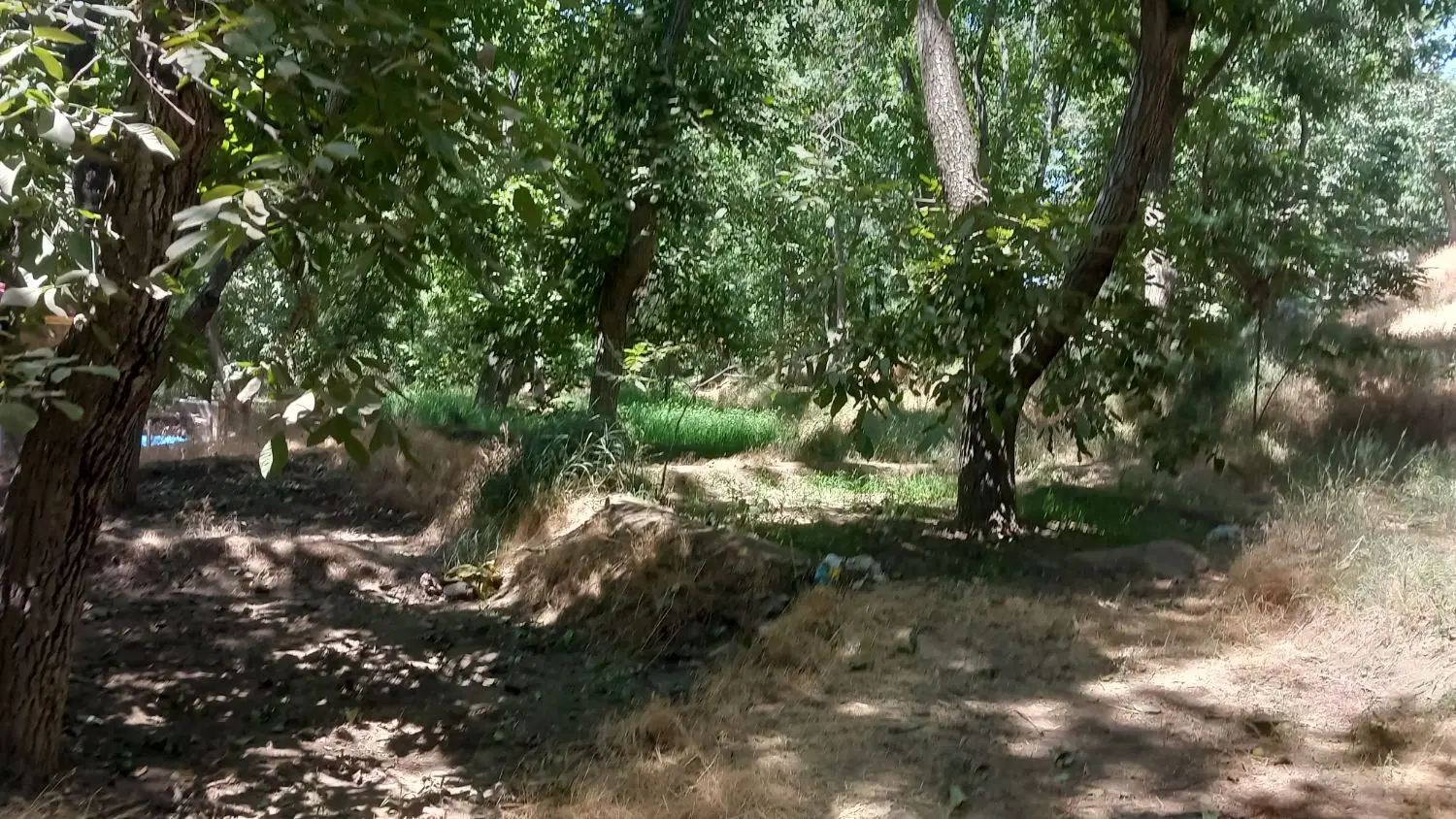 باغ گردو سرابی گذندر