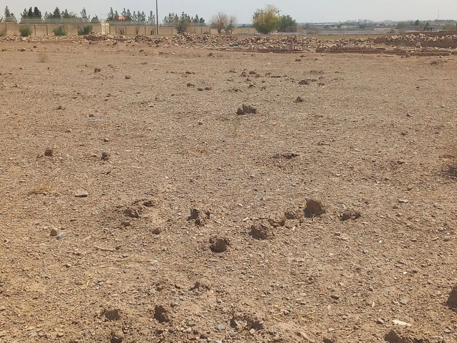 زمین کشاورزی صحراانقلاب
