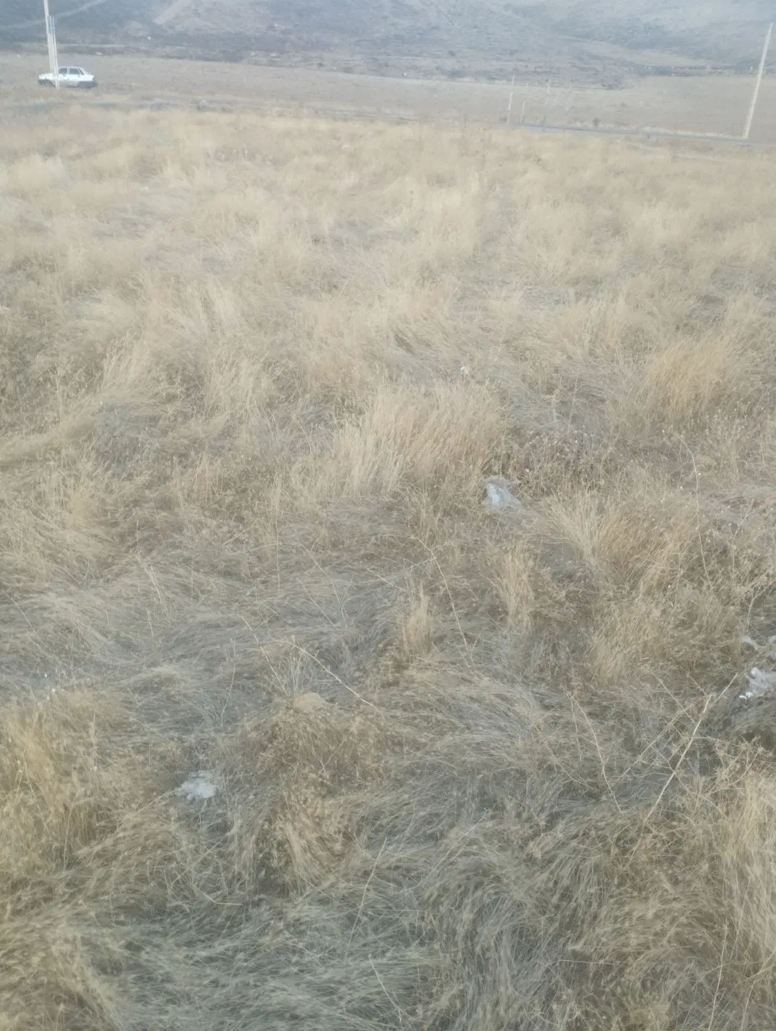 زمین تجاری مسکونی چاراه چره